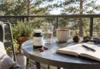 Pine bark extract (Pycnogenol) supplement bottle and capsules on a sunny balcony table with a glass of water and a pine cone